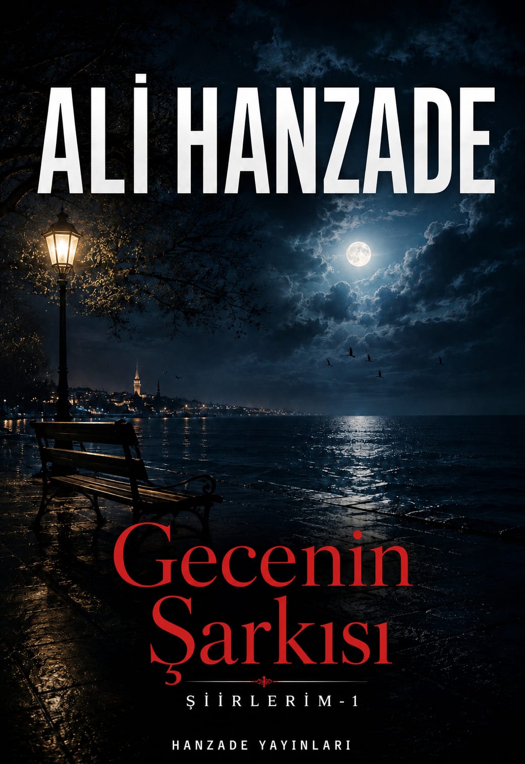 Gecenin Şarkısı kitap kapağı